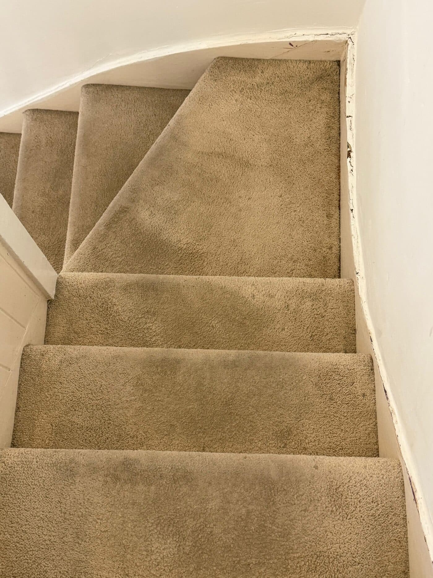 Carpeted staircase before cleaning