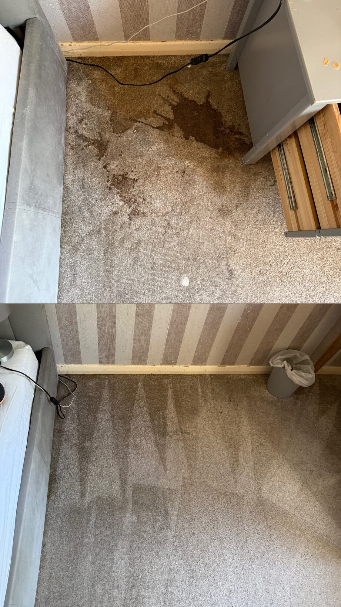 Food and spill stains on carpet, before and after cleaning